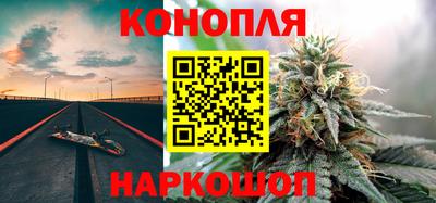 трава Новозыбков