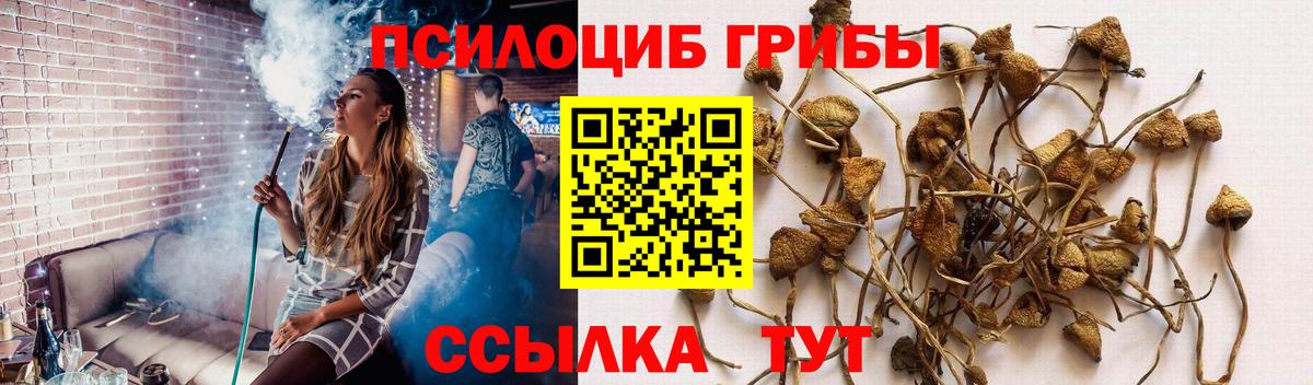 Галлюциногенные грибы GOLDEN TEACHER  Вход с VPN  Светлоград 