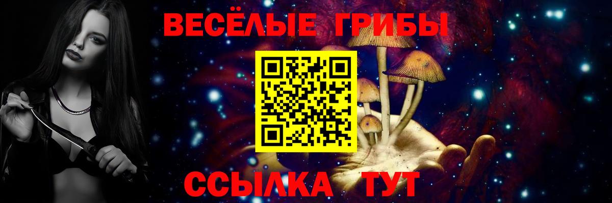 Галлюциногенные грибы MAGIC MUSHROOMS Светлоград